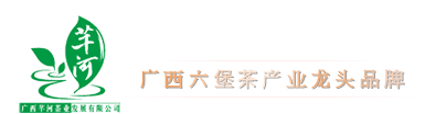 六堡茶-广西芊河茶业发展有限公司